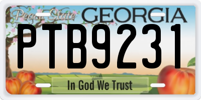 GA license plate PTB9231