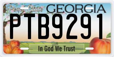 GA license plate PTB9291