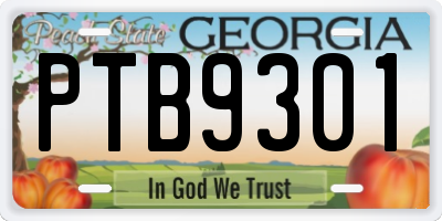 GA license plate PTB9301