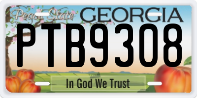 GA license plate PTB9308