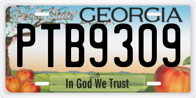 GA license plate PTB9309