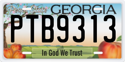 GA license plate PTB9313