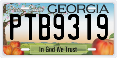 GA license plate PTB9319