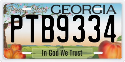 GA license plate PTB9334