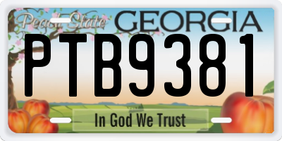 GA license plate PTB9381
