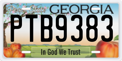 GA license plate PTB9383
