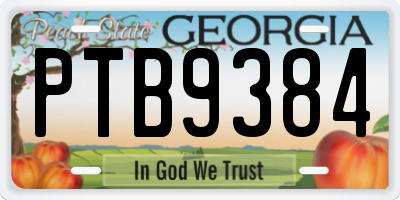 GA license plate PTB9384