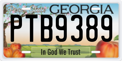 GA license plate PTB9389
