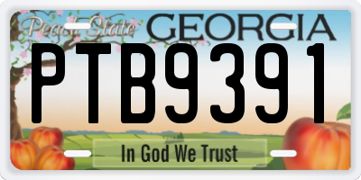GA license plate PTB9391