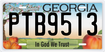 GA license plate PTB9513