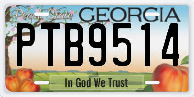 GA license plate PTB9514
