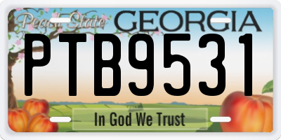 GA license plate PTB9531