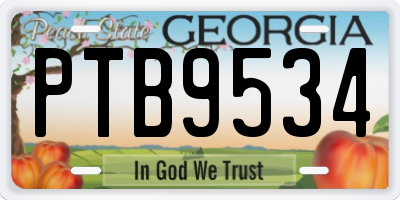 GA license plate PTB9534