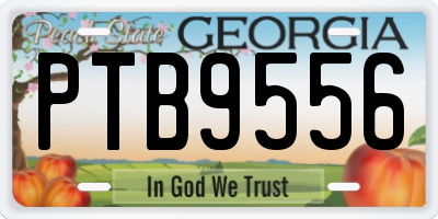 GA license plate PTB9556