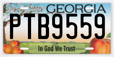 GA license plate PTB9559