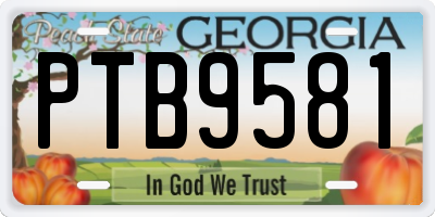 GA license plate PTB9581