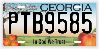 GA license plate PTB9585