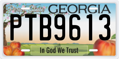 GA license plate PTB9613