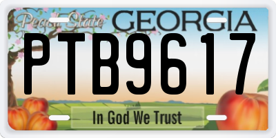 GA license plate PTB9617