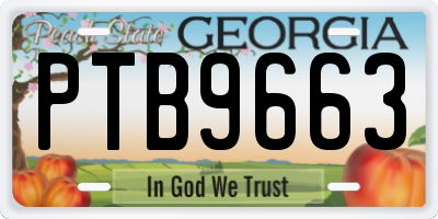 GA license plate PTB9663