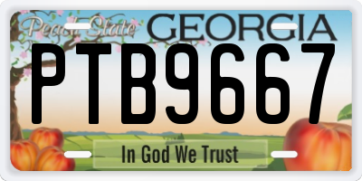 GA license plate PTB9667
