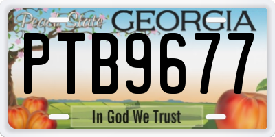 GA license plate PTB9677