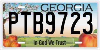 GA license plate PTB9723
