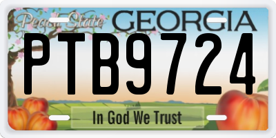GA license plate PTB9724