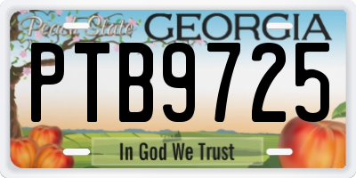 GA license plate PTB9725