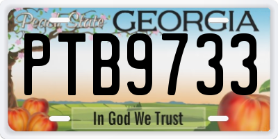 GA license plate PTB9733