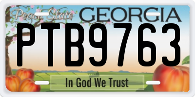 GA license plate PTB9763