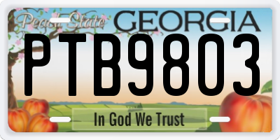 GA license plate PTB9803