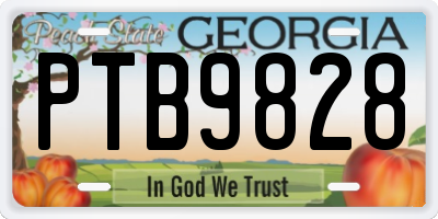 GA license plate PTB9828