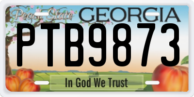 GA license plate PTB9873