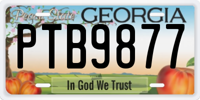 GA license plate PTB9877