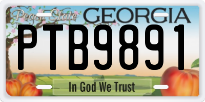 GA license plate PTB9891