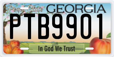 GA license plate PTB9901