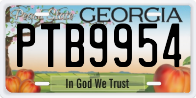 GA license plate PTB9954