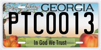 GA license plate PTC0013