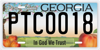 GA license plate PTC0018