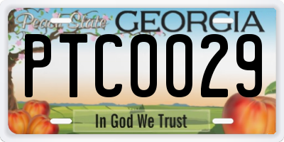 GA license plate PTC0029