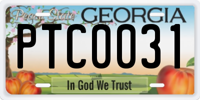 GA license plate PTC0031