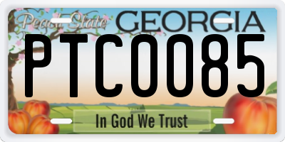 GA license plate PTC0085