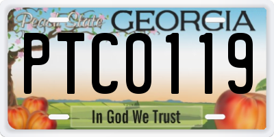 GA license plate PTC0119