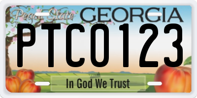 GA license plate PTC0123