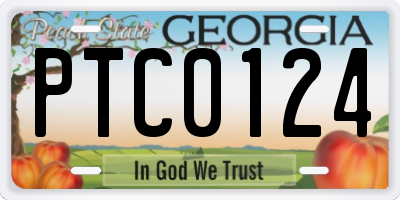 GA license plate PTC0124