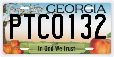 GA license plate PTC0132
