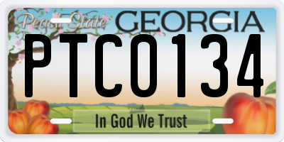 GA license plate PTC0134