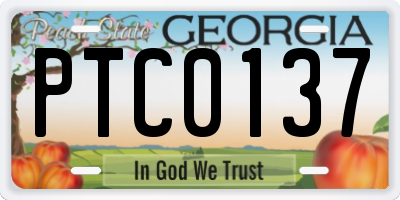 GA license plate PTC0137