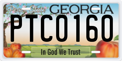 GA license plate PTC0160
